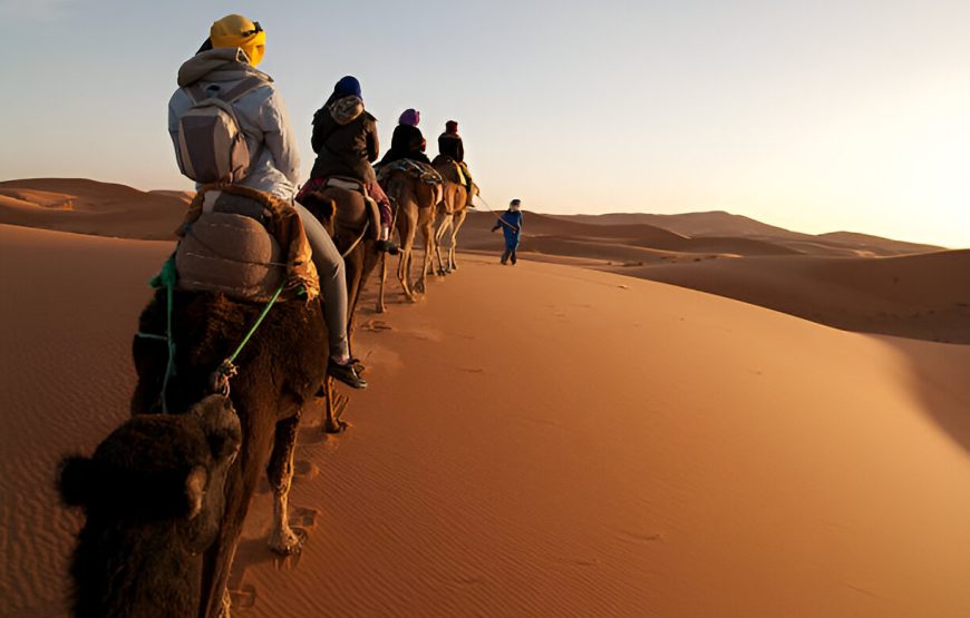 Marrakech-Chefchaouen-Sahara Desert Tour