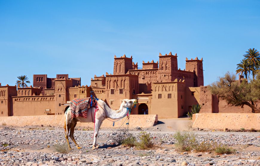 Marrakech-Chefchaouen-Sahara Desert Tour