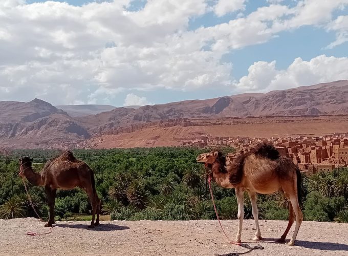 Authentic Morocco Desert Tour 5 Days