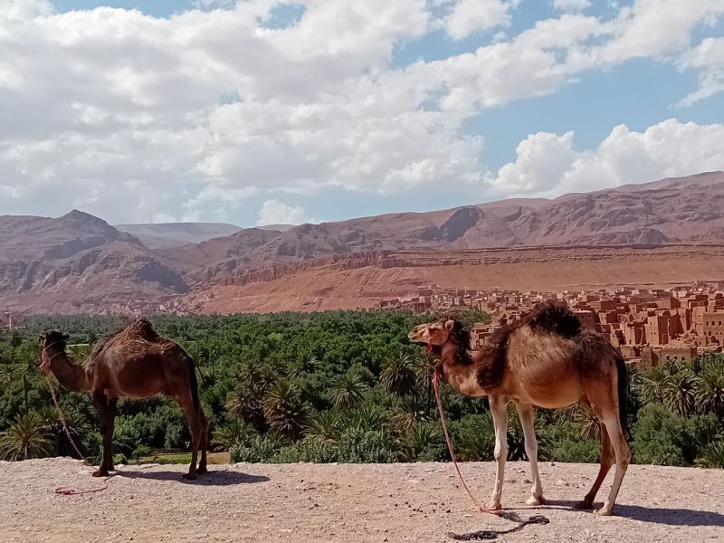 Authentic Morocco Desert Tour 5 Days