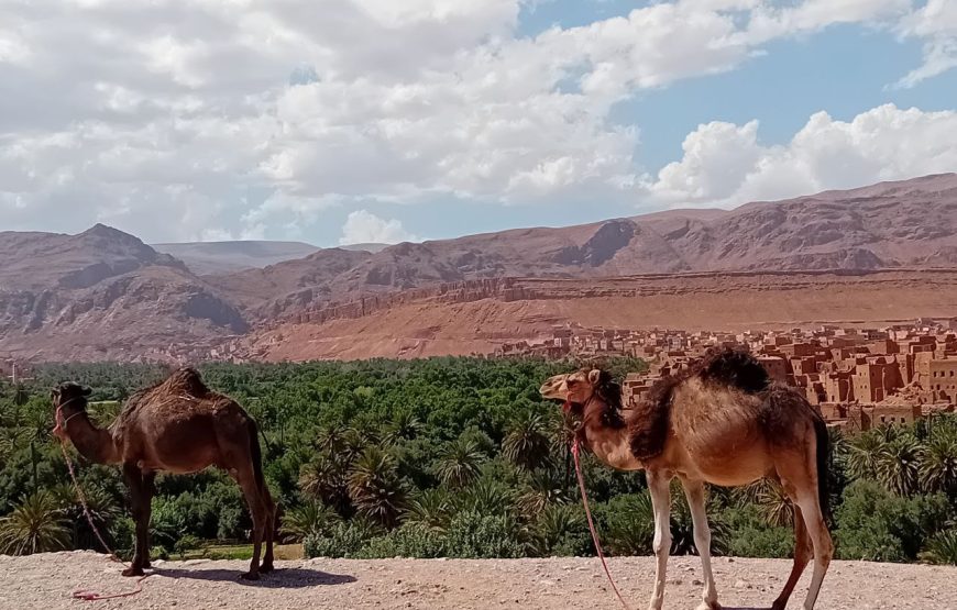 Authentic Morocco Desert Tour 5 Days