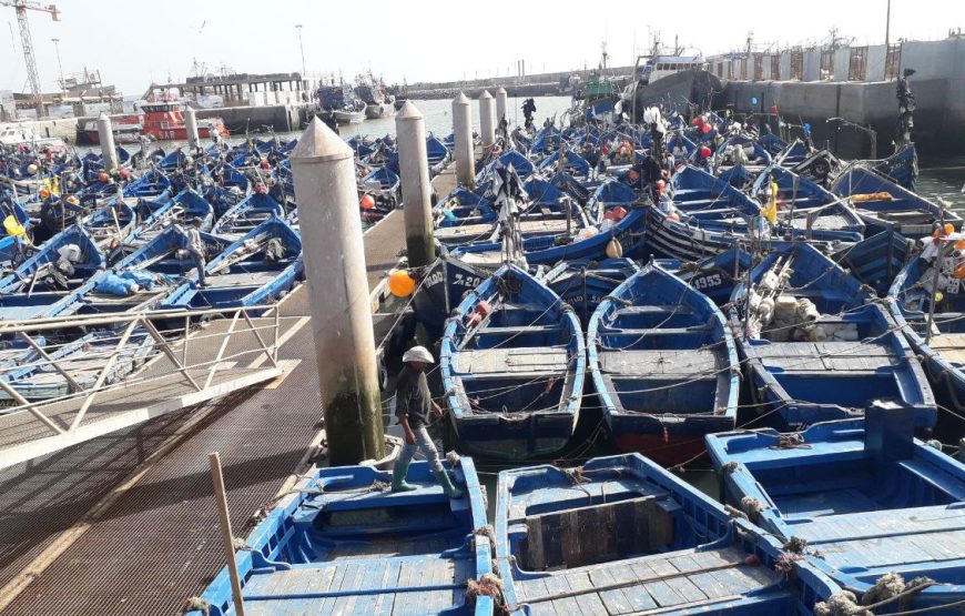 Essaouira-Day Trip From Marrakesh