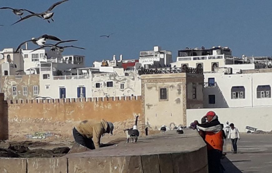 Essaouira-Day Trip From Marrakesh