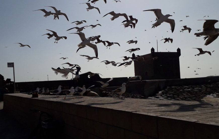 Essaouira-Day Trip From Marrakesh