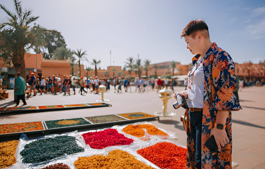 Marrakesh Walking Tour