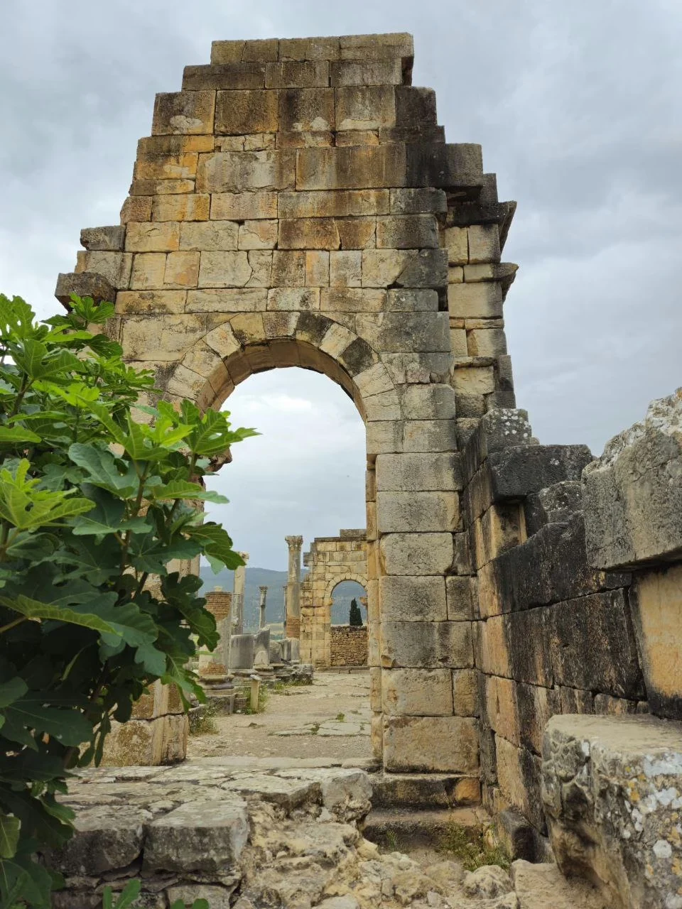 5996721145442846513 | GoMoroccoTour