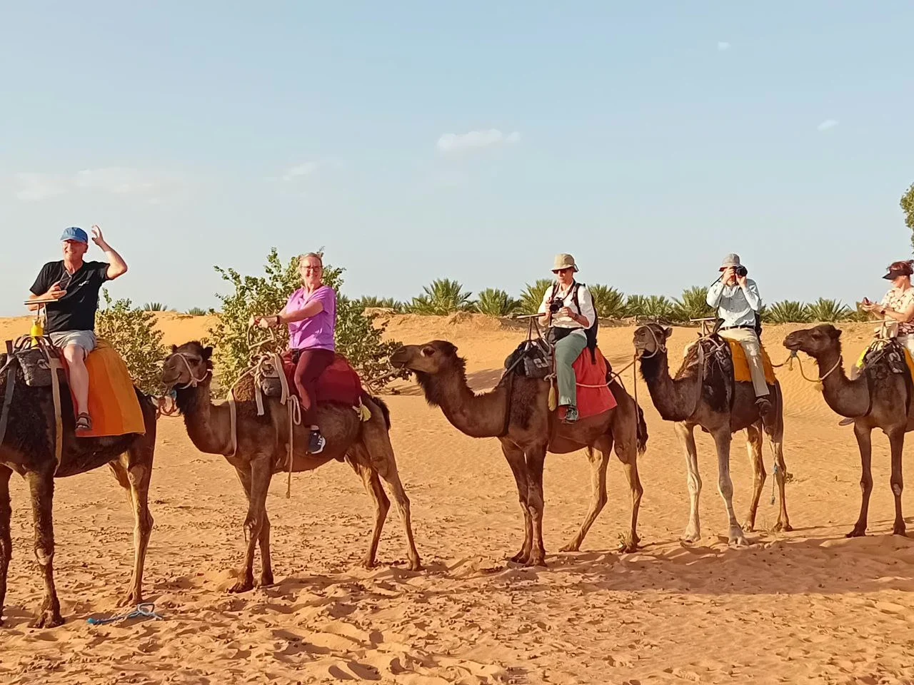 5996721145442846560 | GoMoroccoTour