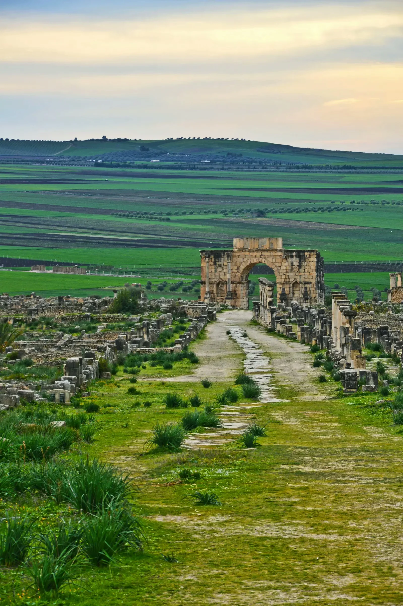 pexels mographe 11517326 | GoMoroccoTour