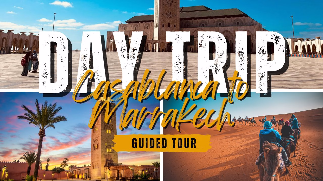 Casablanca to Marrakech Day Trip