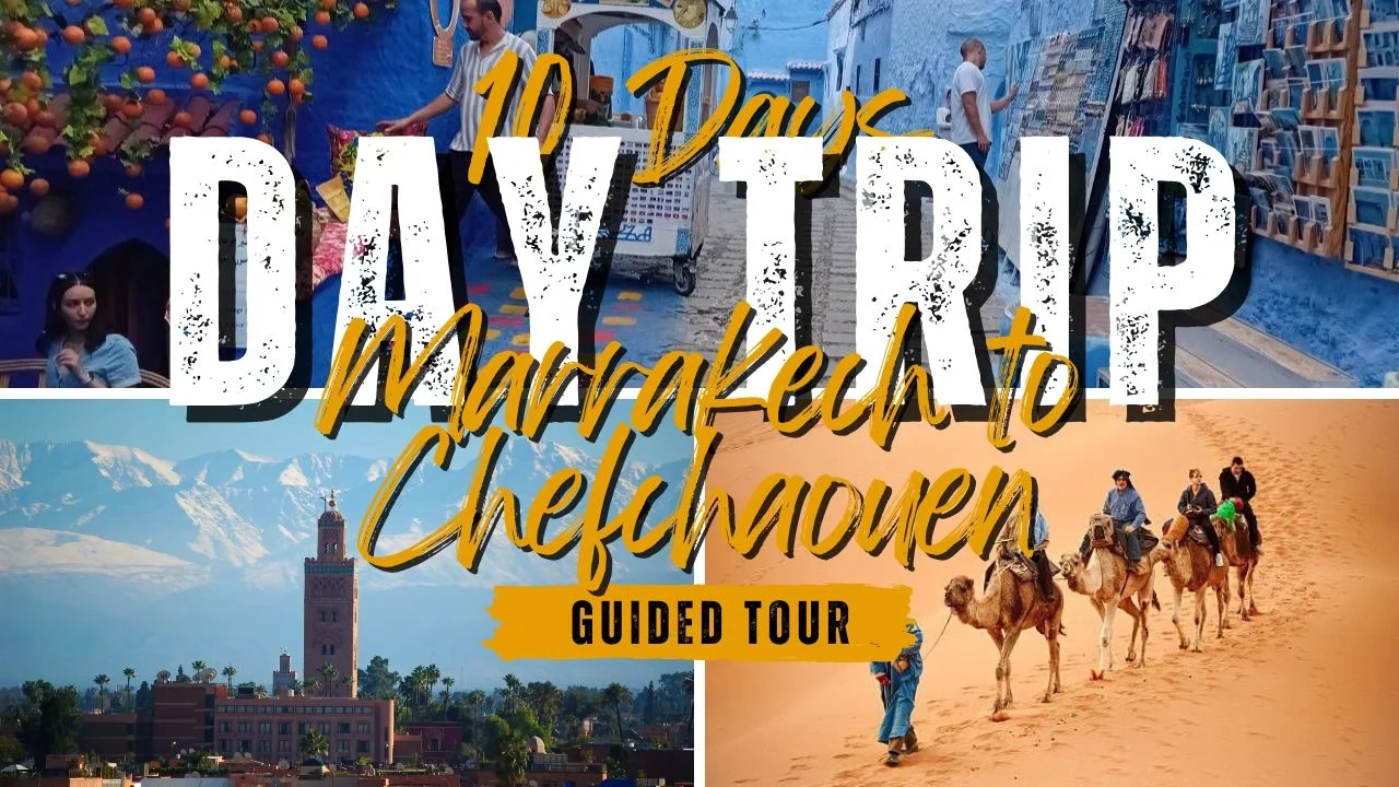 Marrakech to Chefchaouen Tour: The Ultimate 7–10 Days Sahara Route