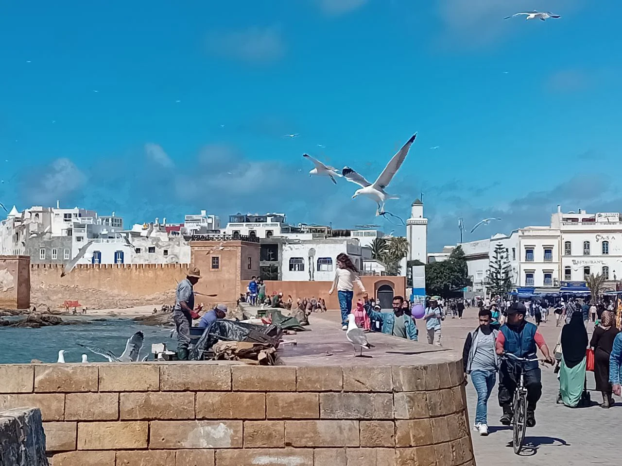 Things to do in Morocco's Coasts